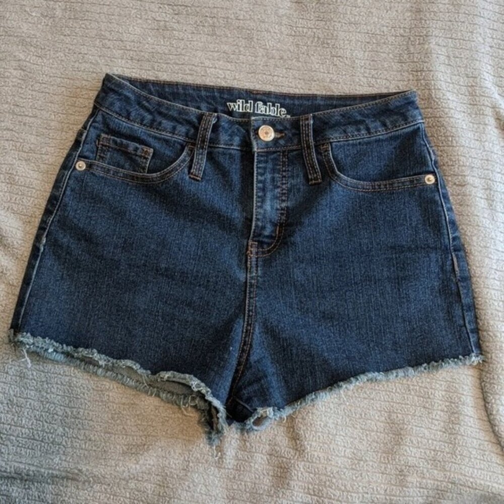 WILD FABLE High Rise Shorts Size 2